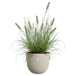 sereh rond 30cm paddenstoel beige